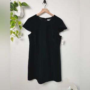 Lark & Ro Black Sheath Dress Flutter Sleeve Classic Minimalist Career Size 16